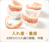 入れ歯・義歯
